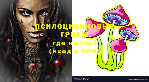 прущие грибы Михайловка