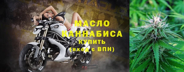 прущие грибы Михайловка