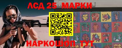 тгк Кингисепп
