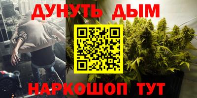 прущие грибы Волгодонск