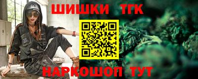 тгк Кингисепп