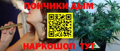 spice Кинель