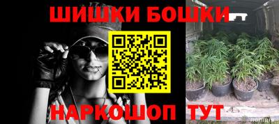 прущие грибы Волгодонск