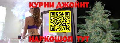 тгк Кингисепп