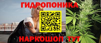 тгк Кингисепп
