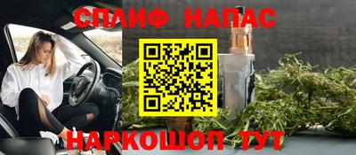 spice Кинель