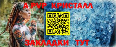 тгк Кингисепп