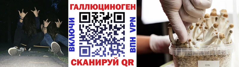 Псилоцибиновые грибы мицелий  где продают   ОМГ ОМГ ТОР  Чебоксары 